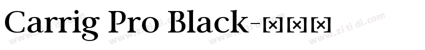 Carrig Pro Black字体转换